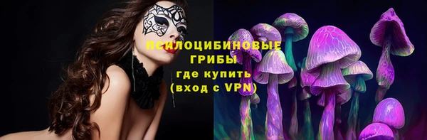 дживик Лабытнанги