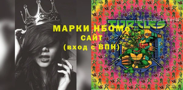 прущие грибы Куйбышев