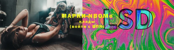 амф Ладушкин