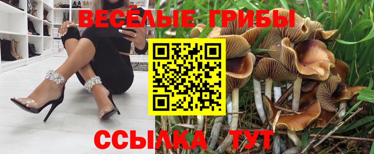 Находка  Галлюциногенные грибы GOLDEN TEACHER  Вход с VPN 