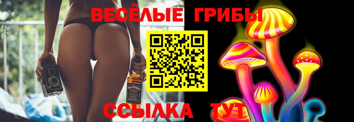 Галлюциногенные грибы ЛСД Находка